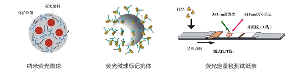 黃曲霉毒素M1熒光定量快速檢測(cè)系統(tǒng)