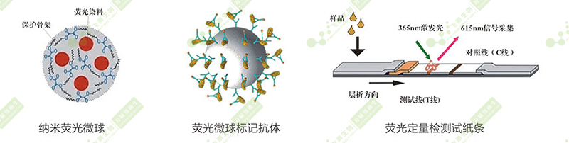 黃曲霉毒素B1熒光定量快速檢測(cè)系統(tǒng)