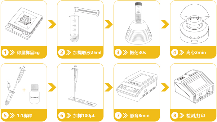 轉基因Bt Cry1Ab/Ac檢測卡操作流程